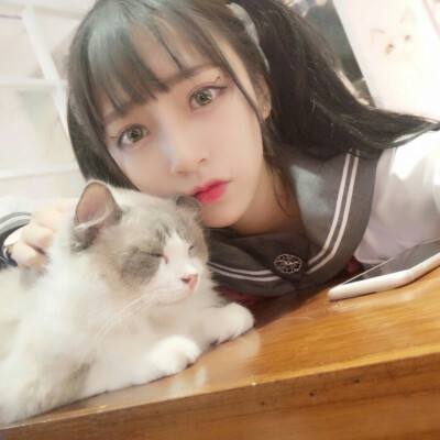 天羽仙缘游戏
